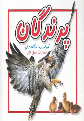 کتاب پرندگان