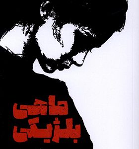کتاب ماهی بلژیکی