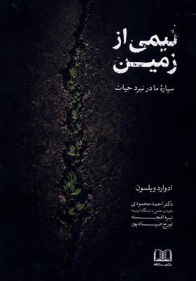 کتاب نیمی از زمین