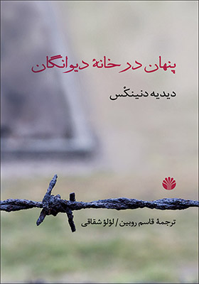 کتاب پنهان در خانه دیوانگان