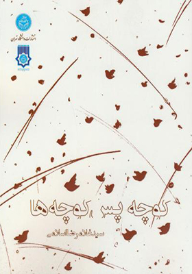 کتاب کوچه پس کوچه ها